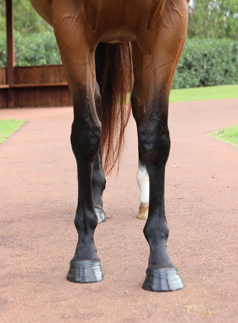 2024 APRIL (Late) Online Sale | Inglis Digital Online Auctions